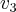 {v_3}