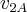 {v_{2A}}
